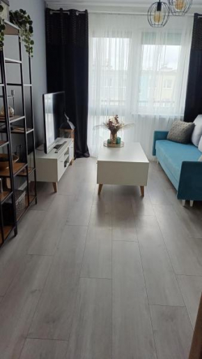 Apartament Kościuszki Iława, Gmina Iława